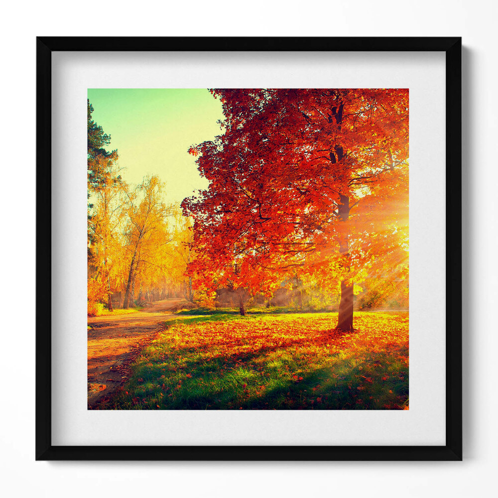 Keretezett falikép Őszi táj vörös falevelek