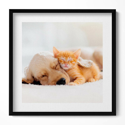 Keretezett falikép Kutyus és cica együtt alszanak