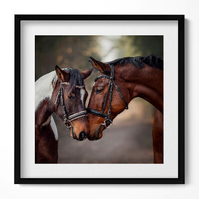 Keretezett falikép Két ló összeborulása