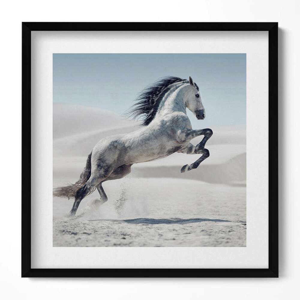 Keretezett falikép Futó ló a homokban