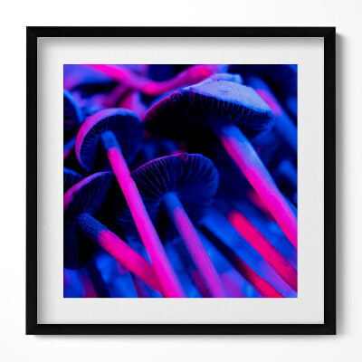 Keretezett falikép Fényes gombák élénk színek