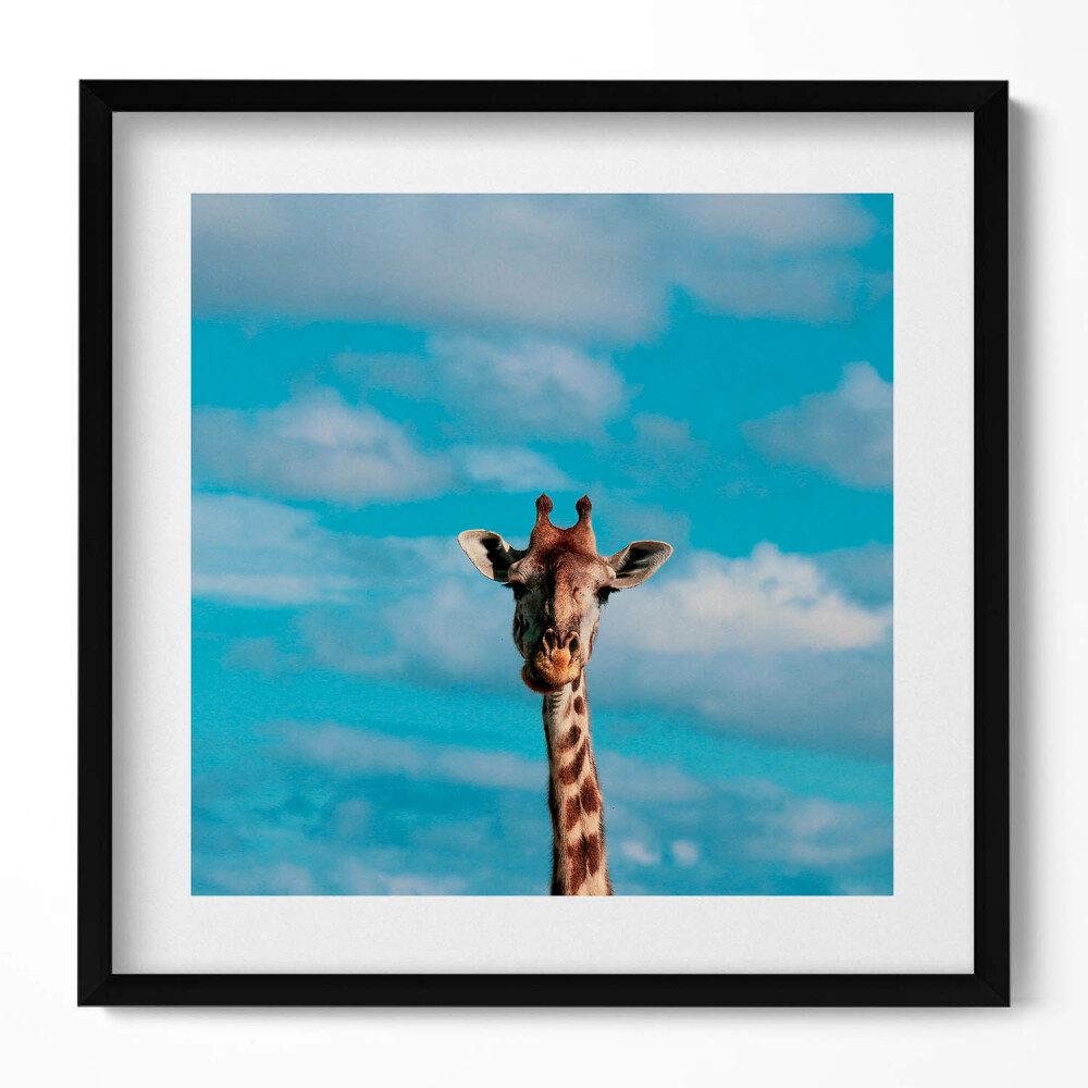 Keretezett falikép Zsiráf arcképe kék háttérrel