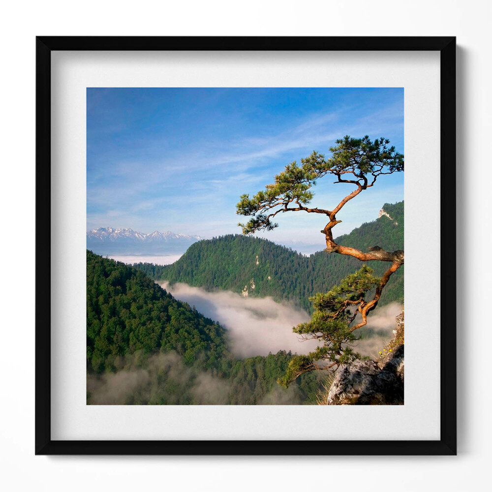 Keretezett falikép Hegyek és fák ködben