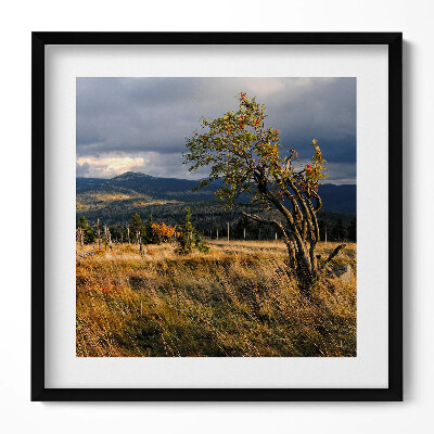 Keretezett falikép Hegyek és fák tája