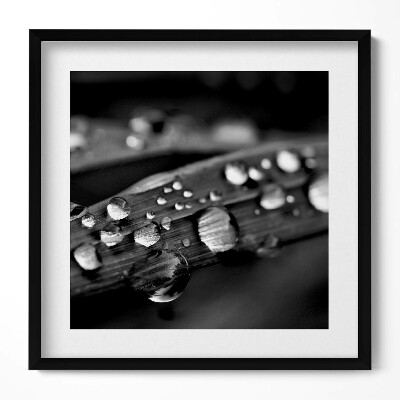 Keretezett falikép Esőcseppek egy levélen