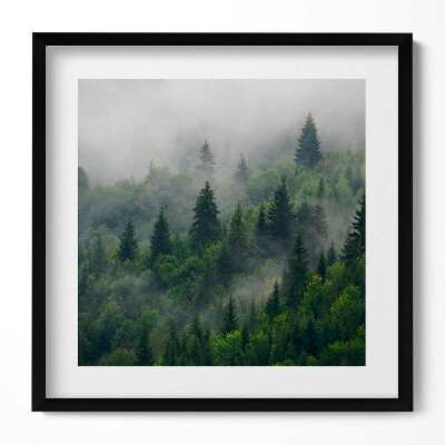 Keretezett falikép Zöld erdő ködben