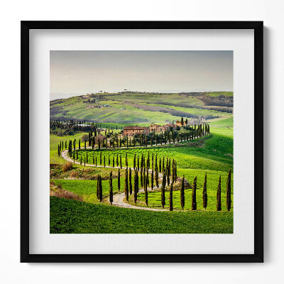 Keretezett falikép Toszkán táj ciprusfák sorai