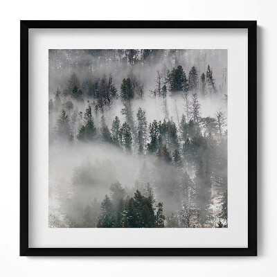 Keretezett falikép Ködös erdő táj