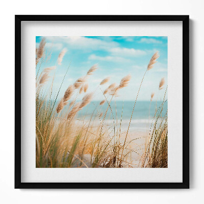 Keretezett falikép Tengerparti nádas világos ég