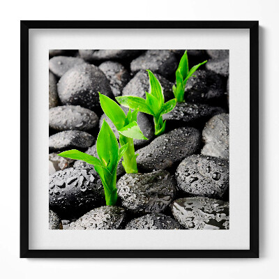 Keretezett falikép Zöld hajtások fekete köveken