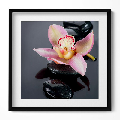 Keretezett falikép Rózsaszín virág és fekete kövek