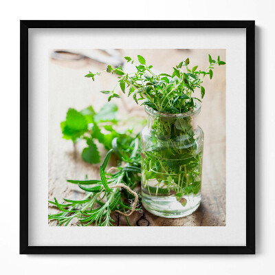 Keretezett falikép Friss fűszernövények üvegben