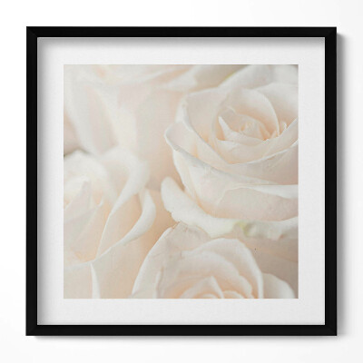 Keretezett falikép Fehér rózsák közelről