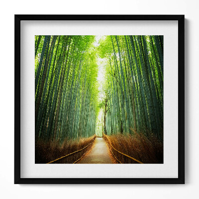Keretezett falikép Bambuszerdő napfényes ösvény