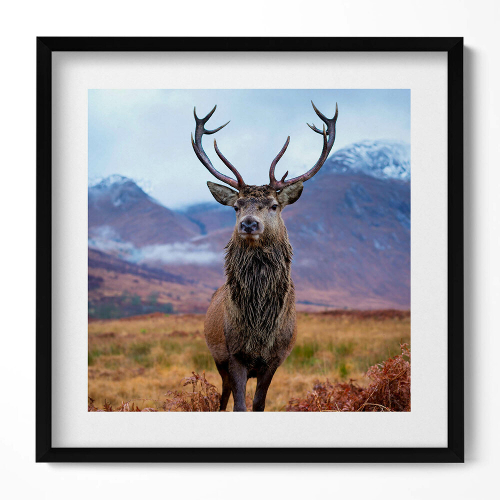 Keretezett falikép Szarvas a hegyekben