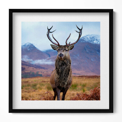 Keretezett falikép Szarvas a hegyekben
