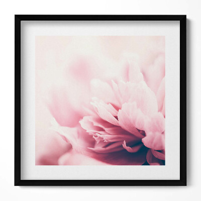 Keretezett falikép Rózsaszín virágok lágyan