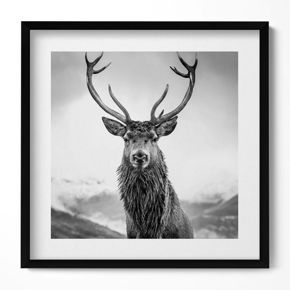 Keretezett falikép Szarvas portréja fekete-fehérben
