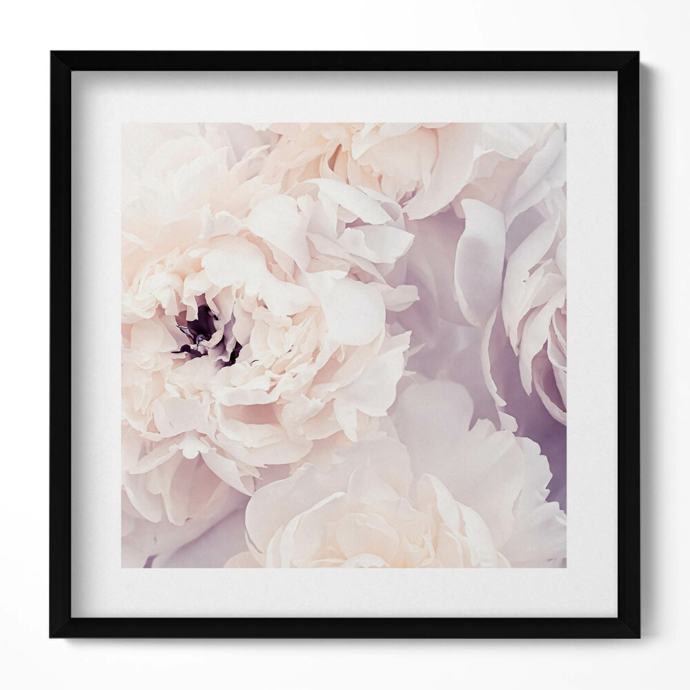 Keretezett falikép Pehly fehér virágok