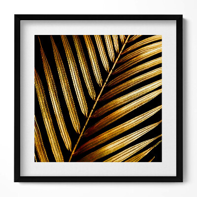 Keretezett falikép Arany színű pálmalevél