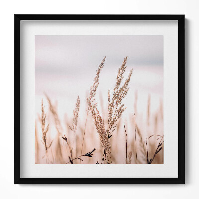 Keretezett falikép Száraz fű a háttérben