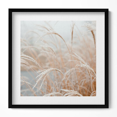 Keretezett falikép Fagyott fű a ködben
