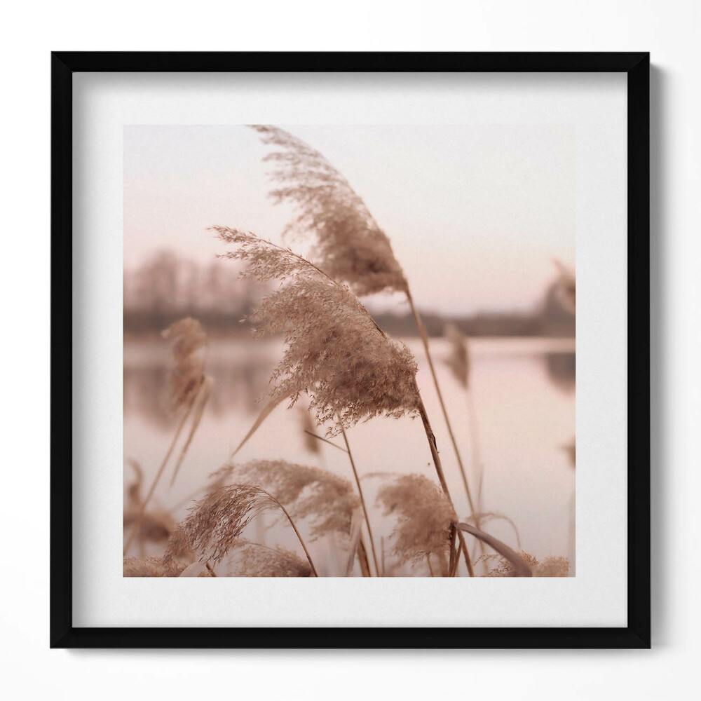 Keretezett falikép Növények a vízparton