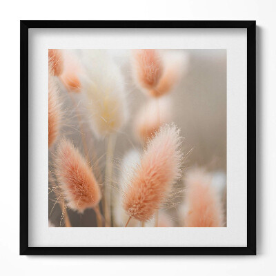 Keretezett falikép Puhavirágok lágy árnyalatokban