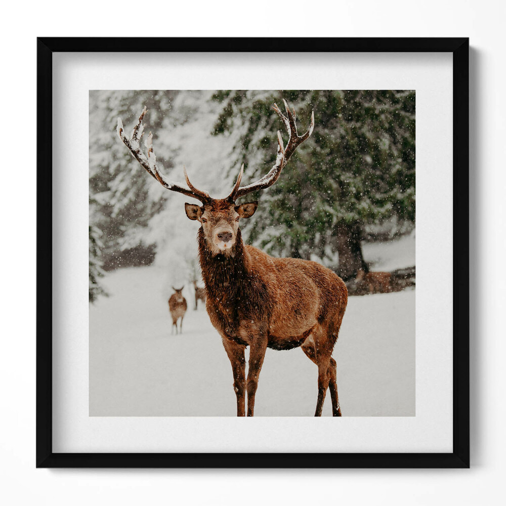Keretezett falikép Szarvas hóesésben