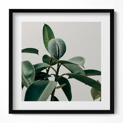 Keretezett falikép Zöld levelek minimalista stílus