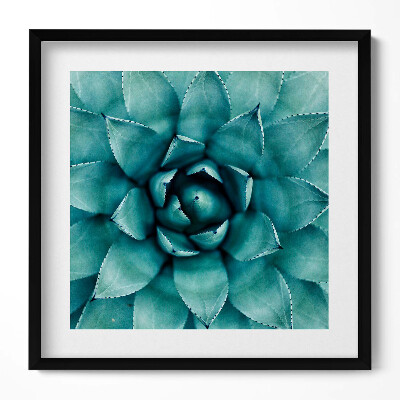 Keretezett falikép Zöld színű levelekből álló növényi motívum