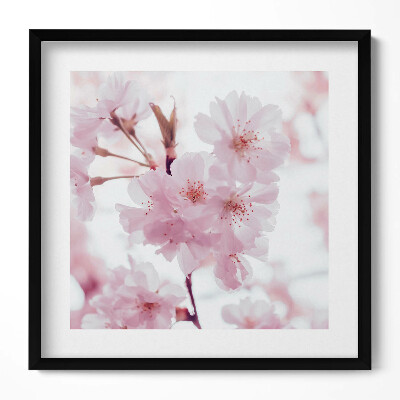 Keretezett falikép Cseresznyevirágok ága