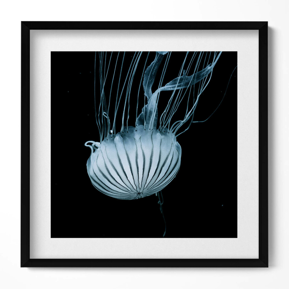 Keretezett falikép Medúza úszik a sötét vízben