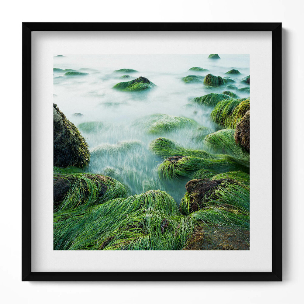 Keretezett falikép Tengerparti zöld növényzet