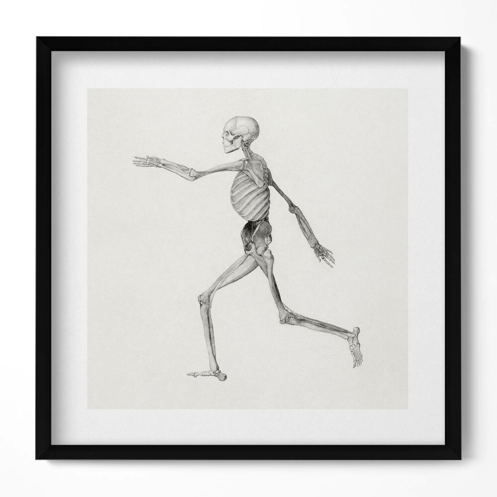 Keretezett falikép Futó emberi csontváz