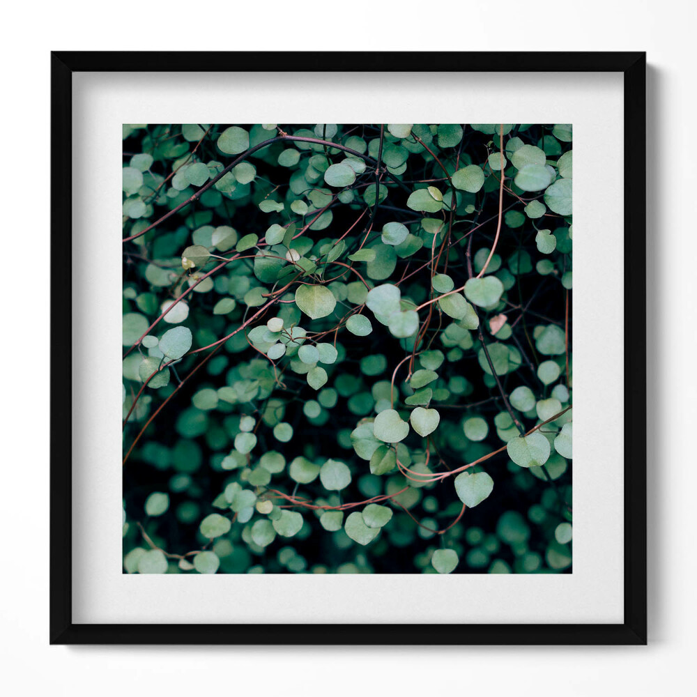 Keretezett falikép Zöld levelek természetes motívum