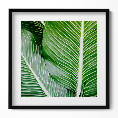 Keretezett falikép Zöld levelek közelről