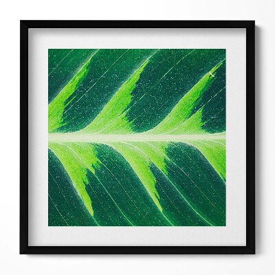 Keretezett falikép Zöld levél részlete