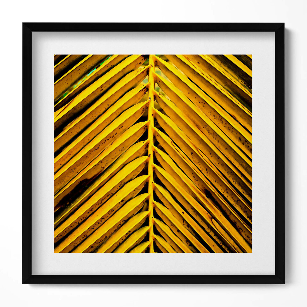 Keretezett falikép Sárga pálmalevél mintázata