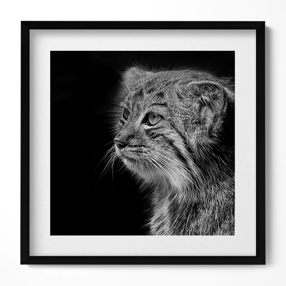 Keretezett falikép Macskaféle állat portréja