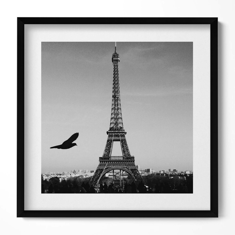 Keretezett falikép Eiffel-torony és madár