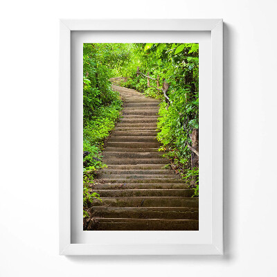 Keretezett kép Zöldellő lépcsősor természetben