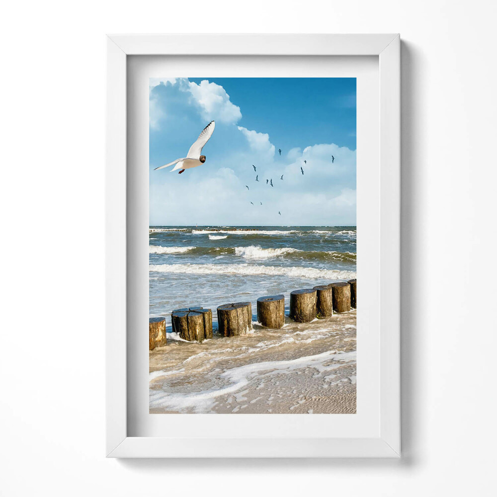 Keretezett kép Tengerparti táj madarak hullámok