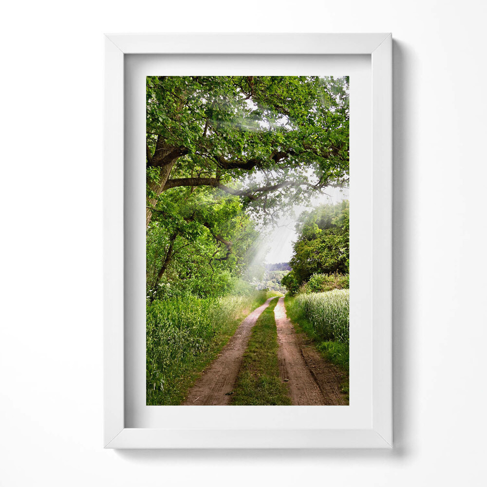 Keretezett kép Zöld dombos táj keskeny ösvény