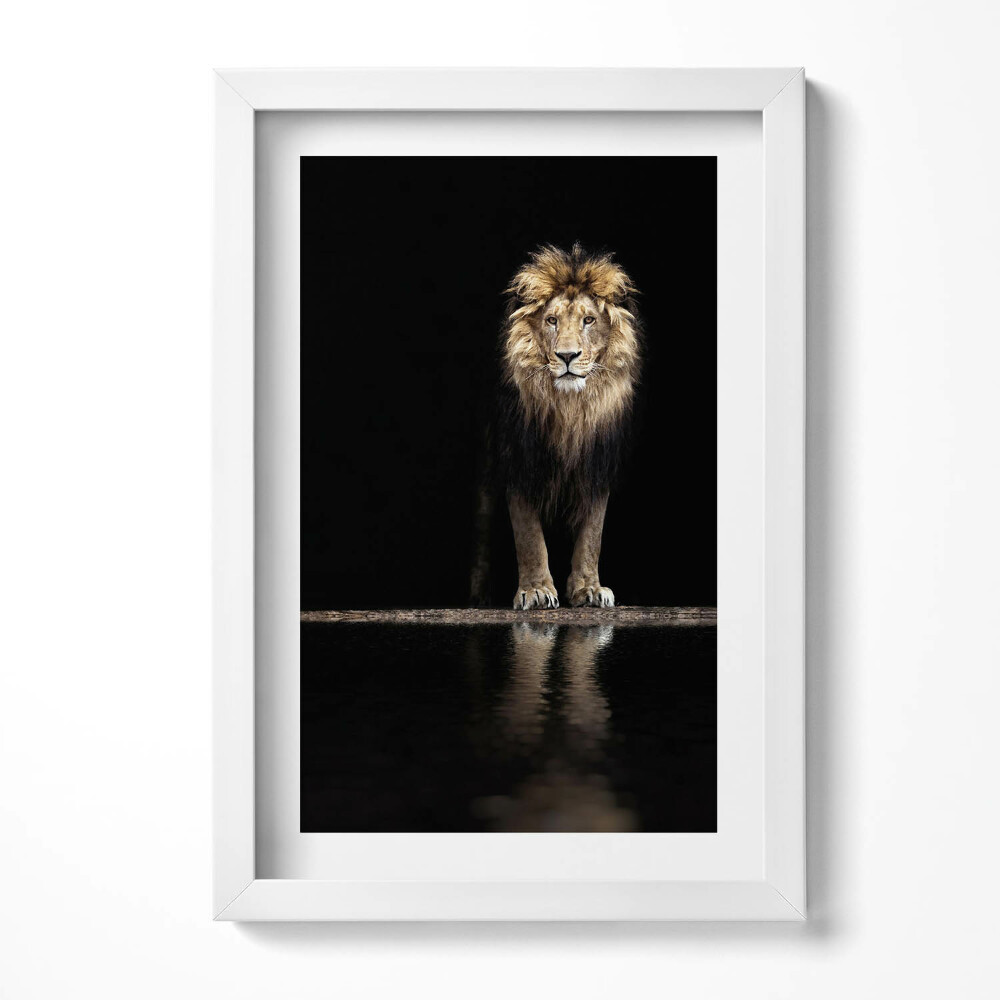 Keretezett kép Oroszlán tükörképe sötét háttérrel