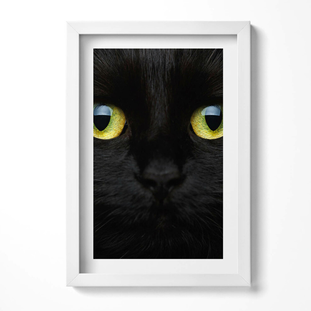 Keretezett kép Fekete macska arca zöld szemekkel