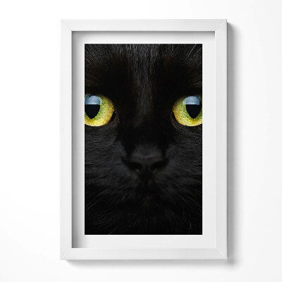 Keretezett kép Fekete macska arca zöld szemekkel