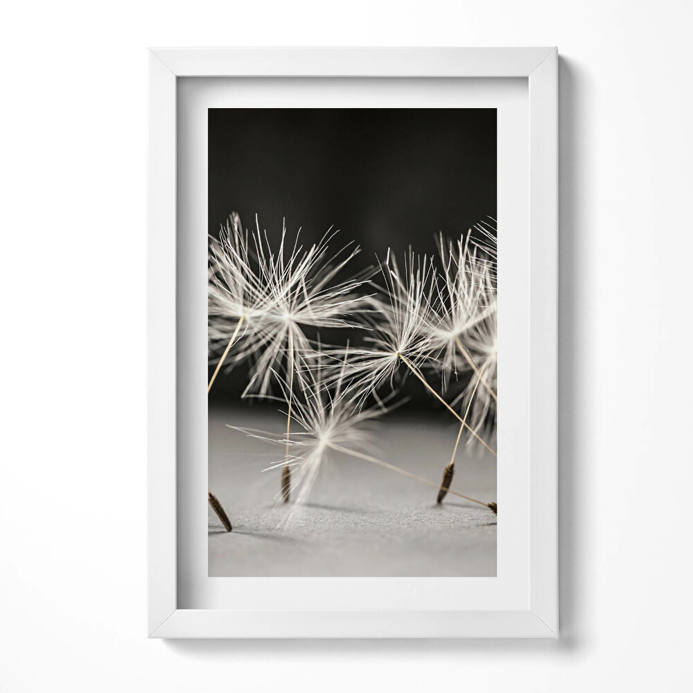 Keretezett kép Pillecukor virágok közelről