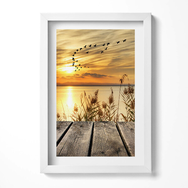 Keretezett kép Naplemente vízparton madarak repülnek