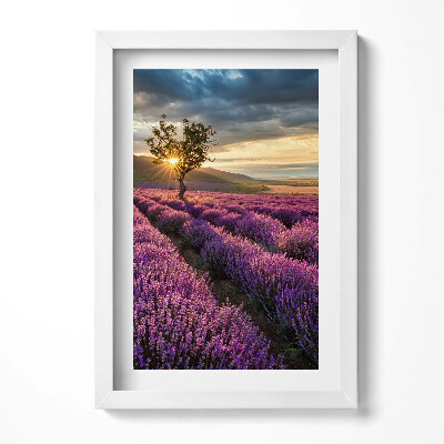 Keretezett kép Levendulamező naplementében